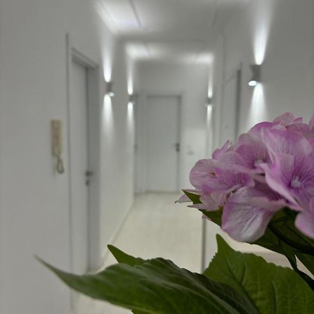 Center, Selvia White Apartment Тирана Екстер'єр фото